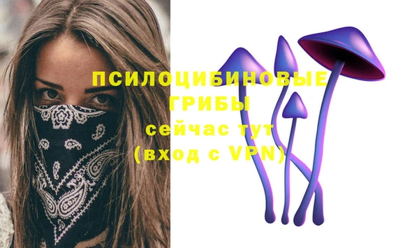 MESCALINE Инсар