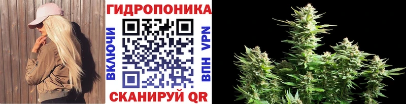 Бошки Шишки гибрид  Купить  Чудово 